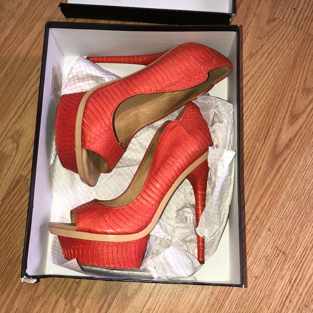 Lamb coral snake heels